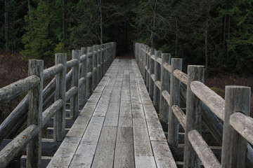 Fototapeta na wymiar Serious looking hiking bridge across a mountain swamp in remote Canada