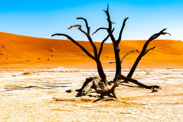 Désert de Sossusvlei en Namibie, Afrique