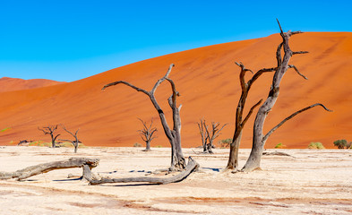 Désert de Sossusvlei en Namibie, Afrique