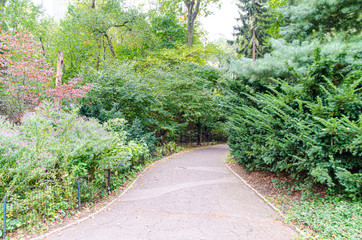 Camino verde