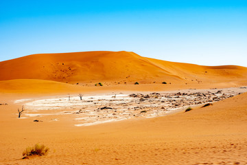 Désert de Sossusvlei en Namibie, Afrique