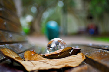 Resting in the park, blurred background