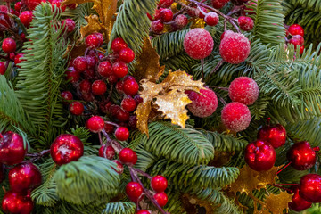 Christmas decorations. Real spruce on the street. Red berries covered with snow, weigh on a branch. close-up. Macro. Xmas
