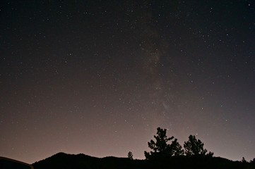 tree and the stars