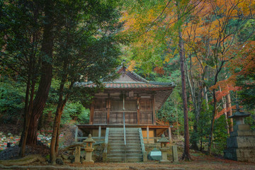 滋賀県、胡宮神社の境内の観音堂と紅葉の風景です