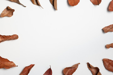 Autumn composition. Frame made of autumn leaves, Flat lay leaf on white background, top view, copy space