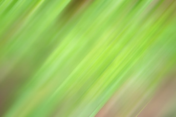 Abstract  green color and blurred background