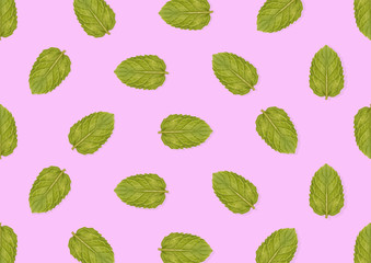 Seamless of green mint in pink background