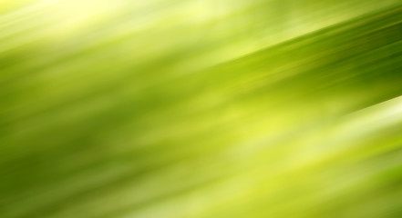 Obraz premium Abstract green color,blurred background