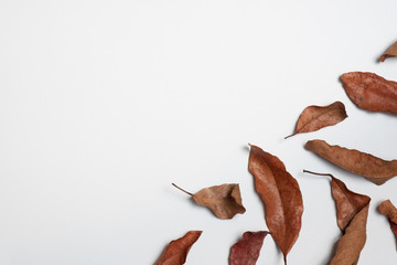 Autumn composition. Frame made of autumn leaves, Flat lay leaf on white background, top view, copy space