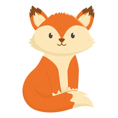 cute fox sitting on white background