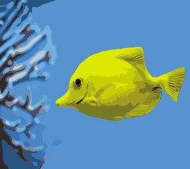 Naklejka premium tropical fish 3