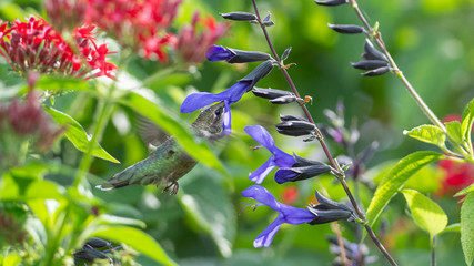 In the Thick of Things