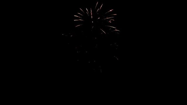 Explosion of bright colorful part of fireworks on black background to create a set salute on video for holiday new year, birthday, wedding or other celebration.