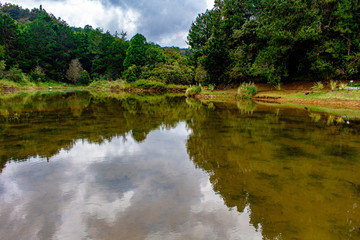 landscape with lake