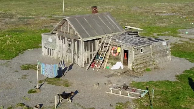 Aerial view uninhabited desert Novaya Zemlya and lonely abandoned world of wildlife and nature of quiet north in summer.