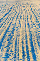 White Sandy Beach At Sunset 