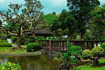 Fototapeta na wymiar japanese garden