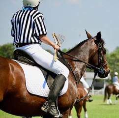 Polo tournament match and competition on polo ponies and horses