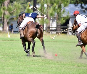 Polo tournament match and competition on polo ponies and horses
