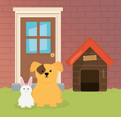 dog and rabbit house garden pet care