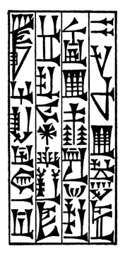 Cuneiform or writing script, vintage engraving.