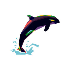 colorful orca
