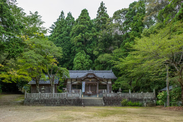 Fototapeta na wymiar 四国、徳島、大宮八幡神社