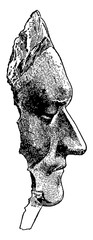 Death Mask of Sir Isaac Newton, vintage illustration