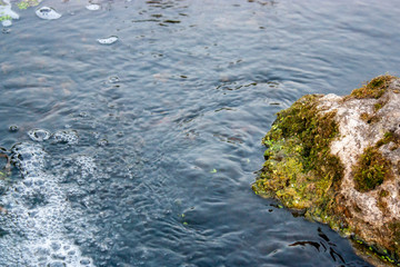 Bubbles on the water in the river, top view. A stone in the moss is washed by water on a sunny day. Green moss on a stone in a river.