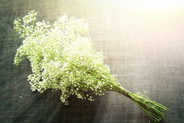 bouquet of white flowers on wooden background