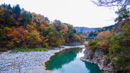 Scenic landscape view of river and nature trees in the forest with colors leaves change in fall autumn season , Japan.