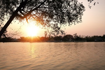 Fototapeta na wymiar Scenic landscape of smooth wave water river and branch of tree in evening with bright sunset sunlight background.