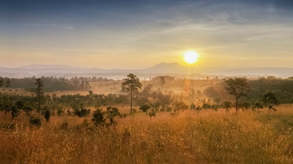 Mountain view panorama  misty morning on grass fields around with soft fog and yellow sun light background, sunrise at Thung Salang Luang, Khao Kho, Phetchabun, Thailand.