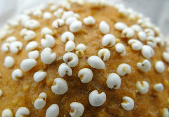 Bread with baked millet. Close up macro photo of ready to eat healthy vegetarian wholegrain bread.