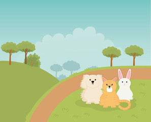 dog cat and rabbit landscape rural pet care