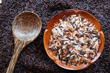 mix of rice with organic concept