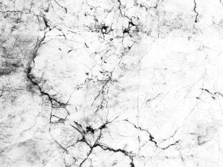 Beautiful rock wood and stone abstract texture background and wallpaper, white granite and black granite on white marble