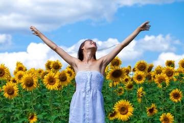 Naklejka na ściany i meble Young beautiful girl in a field of sunflowers field
