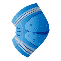 Snowboard knee protect icon. Cartoon of snowboard knee protect vector icon for web design isolated on white background