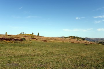   Foothills of the Altai Mountains. Western Siberia. Russia