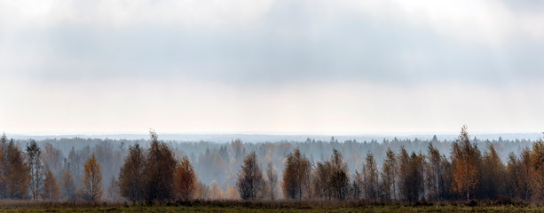 Autumn morning rural landscape in backlit with fog