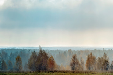 Autumn morning rural landscape in backlit with fog