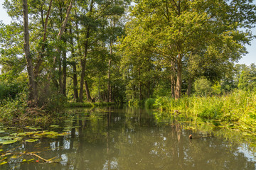 Fototapeta na wymiar Bootsfahrt auf einem Kanal im Spreewald