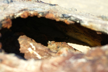 Part of rusty shipwreck on shore