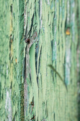 old painted wood texture, green painted wooden plank