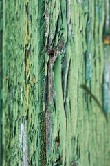 old painted wood texture, green painted wooden plank