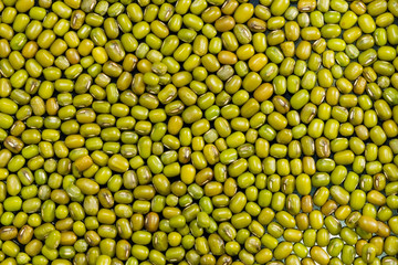 organic mung bean seeds background