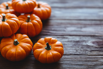 Diverse assortment of pumpkins on a wooden background. Autumn harvest.