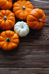 Diverse assortment of pumpkins on a wooden background. Autumn harvest.